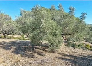 Nave industrial en venta en Artana