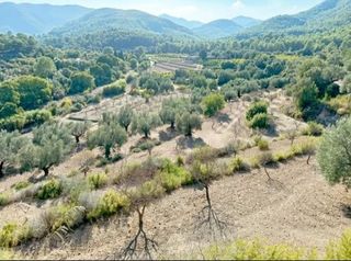 Nave industrial en venta en Artana