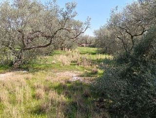 Terreno en venta en Roquetes