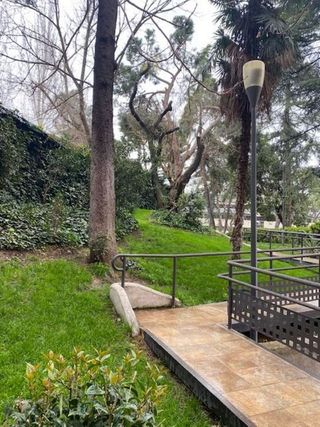 Piso en alquiler en Bernabéu - Hispanoamérica en Madrid