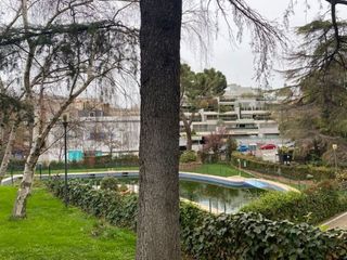 Piso en alquiler en Bernabéu - Hispanoamérica en Madrid