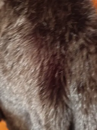 Abrigo pelo Bershka negro talla M