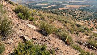 Solar en venta en Bobadilla - Bobadilla Estación - La Joya en Antequera