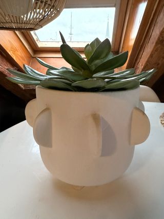 Planta artificial con maceta blanca – suculenta