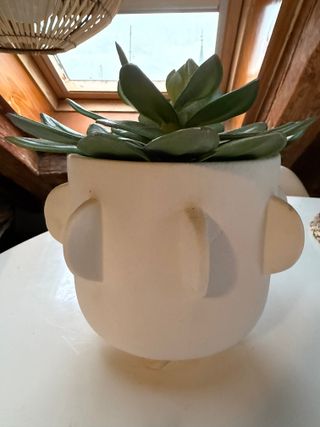 Planta artificial con maceta blanca – suculenta