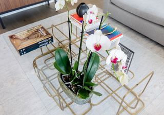 Piso en alquiler en Justicia - Chueca en Madrid