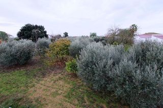 Casa rural en venta en Montijo