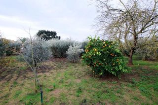 Casa rural en venta en Montijo