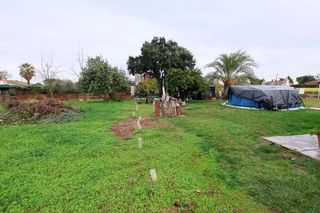 Casa rural en venta en Montijo