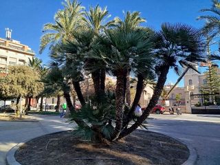 Piso en venta en Carolinas Bajas en Alicante