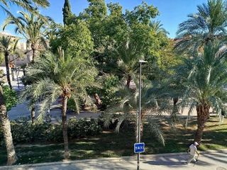 Piso en venta en Carolinas Bajas en Alicante