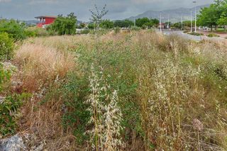 Terreno en venta en El Balcó - Jaume I en Oropesa del Mar/Orpesa