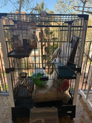 Jaula para mascotas/comida y accesorios incluidos