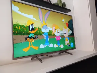 Televisor Sony 50 Pulgadas