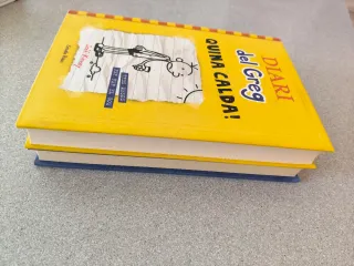 2 llibres de Diari del Greg