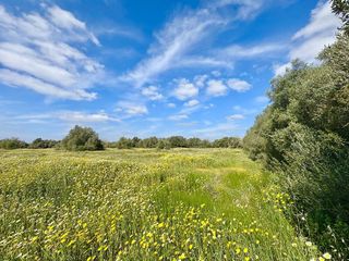 Solar en venta en Campos