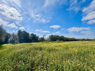 Solar en venta en Campos