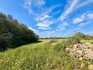 Solar en venta en Campos