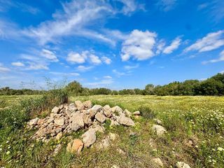 Solar en venta en Campos