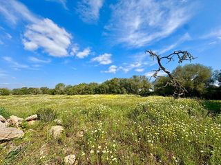 Solar en venta en Campos