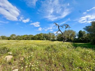 Solar en venta en Campos