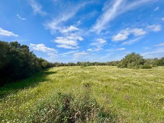 Solar en venta en Campos