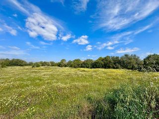 Solar en venta en Campos