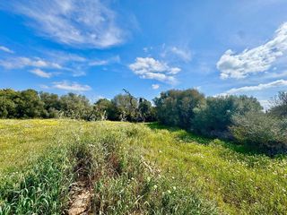 Solar en venta en Campos