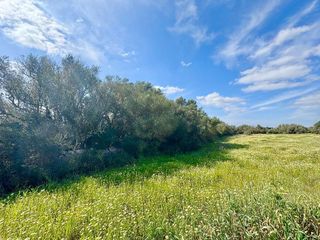 Solar en venta en Campos