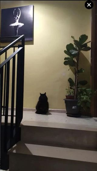 Dúplex en venta en Benetússer