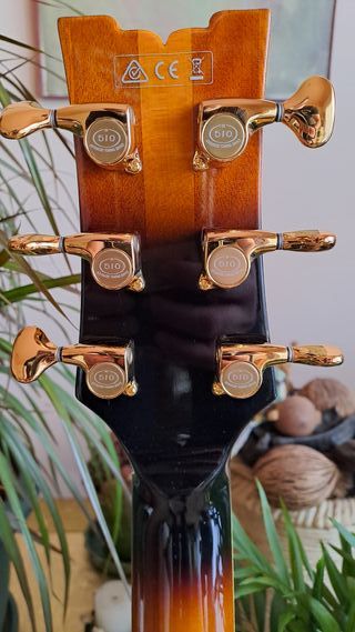 Guitarra Ibanez JSM10-VYS John Scofield