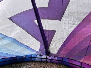 Kite Harlem Thrive 8m 2025