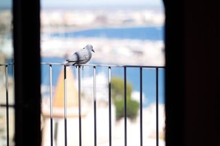 Chalet en alquiler en El Terreno en Palma de Mallorca