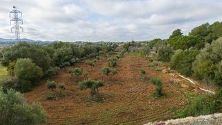 Casa rural en venta en Manacor Centro en Manacor