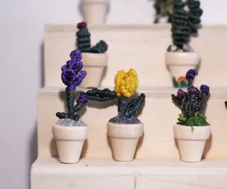 Mini plantas de macramé