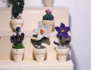 Mini plantas de macramé
