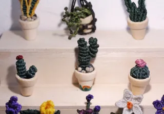 Mini plantas de macramé