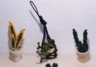 Mini plantas de macramé