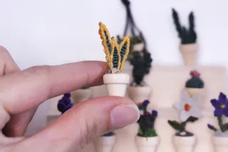 Mini plantas de macramé