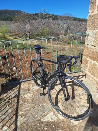 Bicicleta Carretera Van Rysel EDR ROAF AF