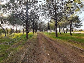 Chalet en venta en Argamasilla de Calatrava