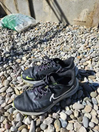 Zapatillas Nike Pegasus Shield Negro/Verde