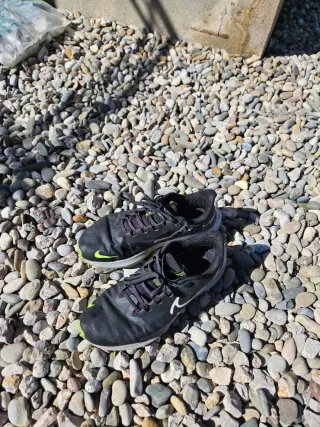 Zapatillas Nike Pegasus Shield Negro/Verde