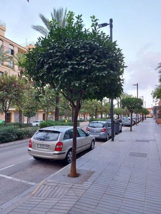 Local comercial en alquiler en Zona Avenida al Vedat en Torrent