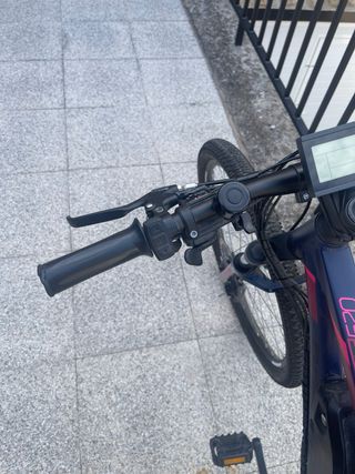 Bicicleta eléctrica.