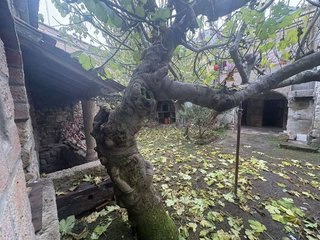 Local comercial en venta en Ciudad Rodrigo