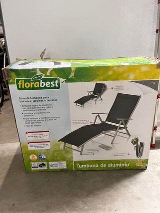 2 Tumbonas Plegables con Reposabrazos