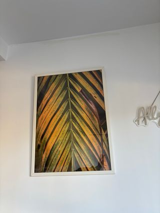 Marco 70x50 Con poster fotografico