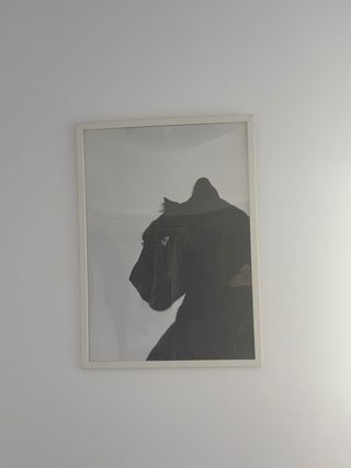 Marco 70x50 Con poster fotografico