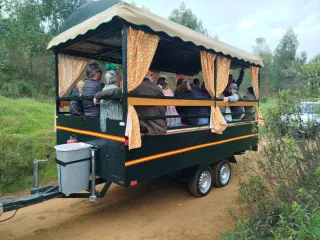 Remolque jardinera romería